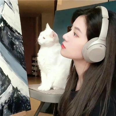 北平无战事